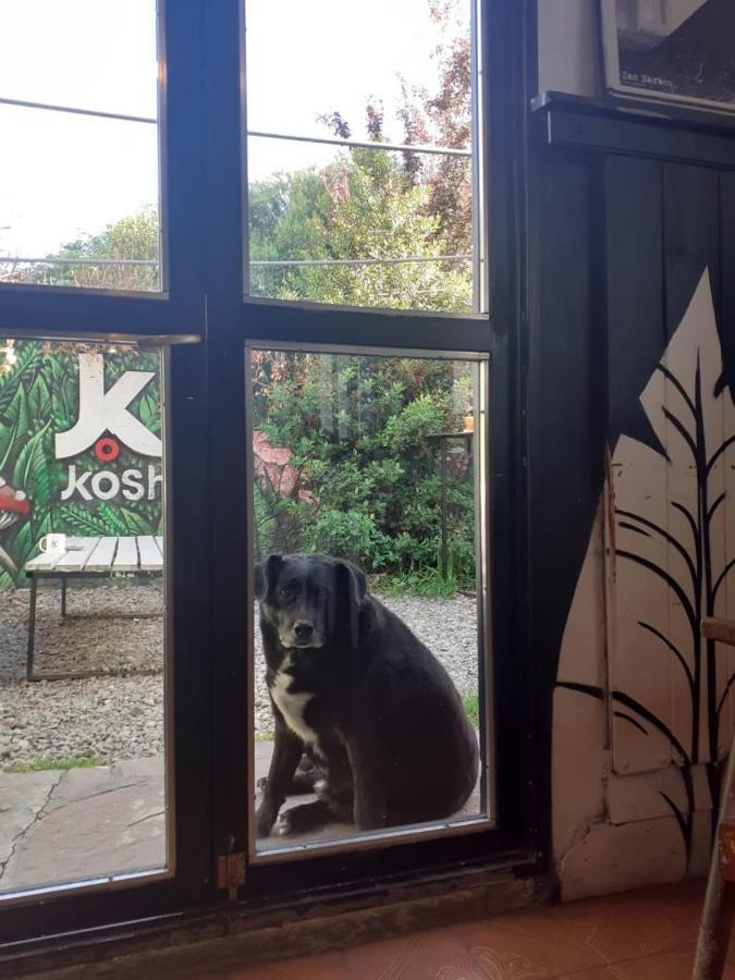 Kosh Vandrehjem San Carlos de Bariloche Eksteriør billede